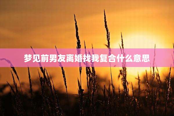 梦见前男友离婚找我复合什么意思