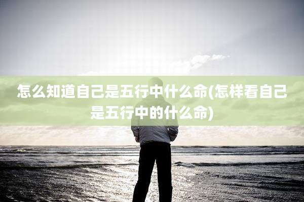 怎么知道自己是五行中什么命(怎样看自己是五行中的什么命)
