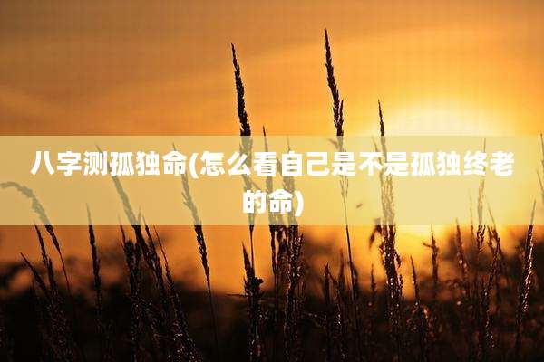 八字测孤独命(怎么看自己是不是孤独终老的命)