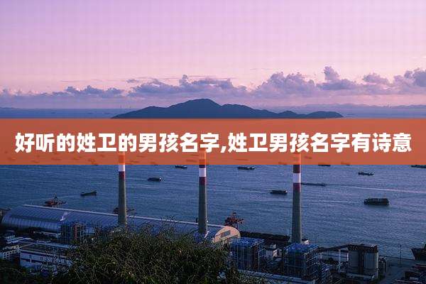 好听的姓卫的男孩名字,姓卫男孩名字有诗意