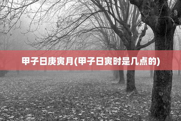 甲子日庚寅月(甲子日寅时是几点的)