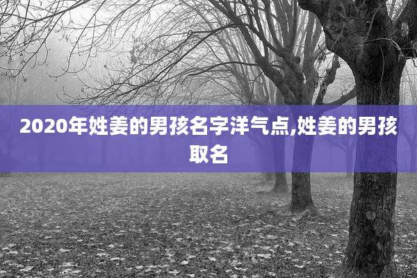 2020年姓姜的男孩名字洋气点,姓姜的男孩取名