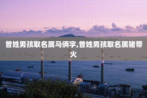 曾姓男孩取名属马俩字,曾姓男孩取名属猪带火
