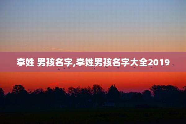 李姓 男孩名字,李姓男孩名字大全2019