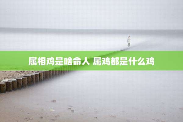 属相鸡是啥命人 属鸡都是什么鸡