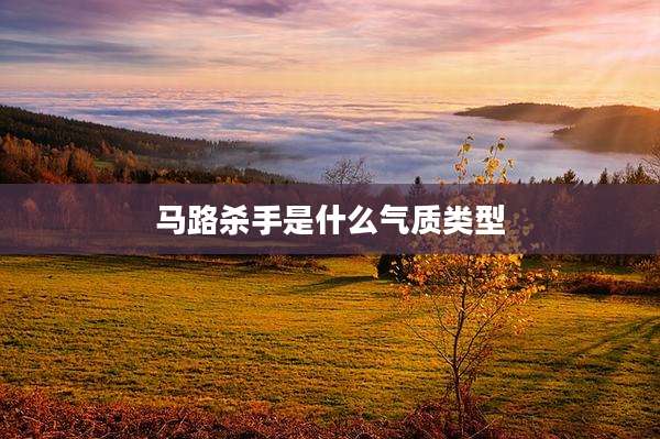 马路杀手是什么气质类型