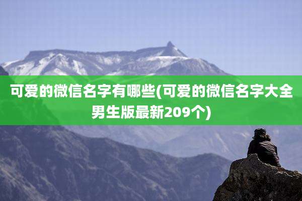 可爱的微信名字有哪些(可爱的微信名字大全男生版最新209个)