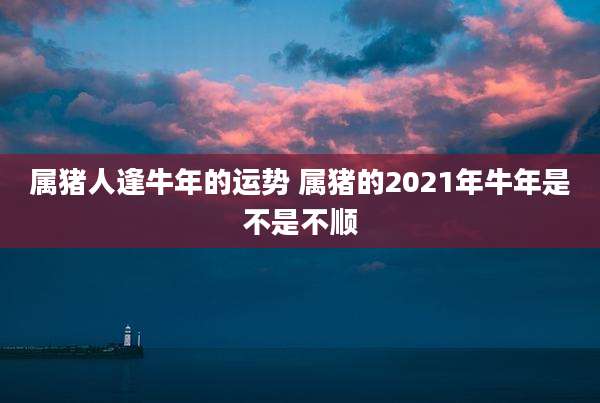 属猪人逢牛年的运势 属猪的2021年牛年是不是不顺
