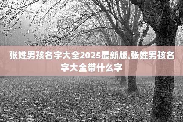 张姓男孩名字大全2025最新版,张姓男孩名字大全带什么字