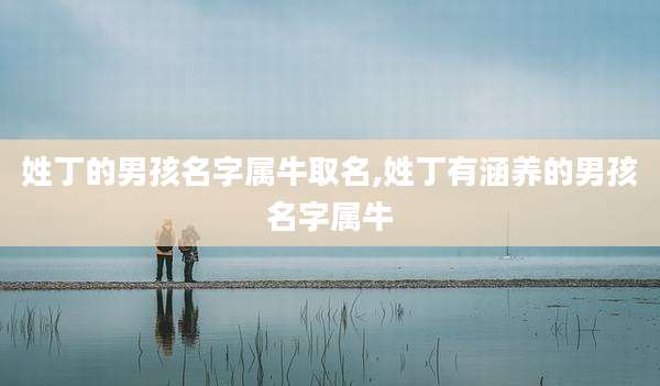 姓丁的男孩名字属牛取名,姓丁有涵养的男孩名字属牛