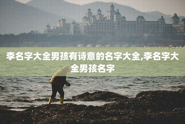 李名字大全男孩有诗意的名字大全,李名字大全男孩名字