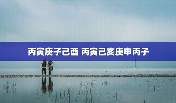 丙寅庚子己酉 丙寅己亥庚申丙子