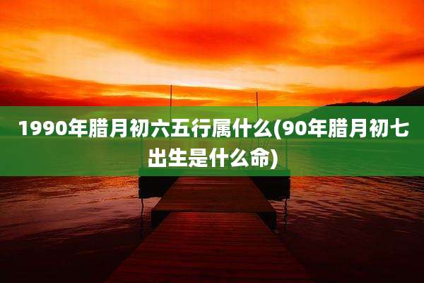1990年腊月初六五行属什么(90年腊月初七出生是什么命)