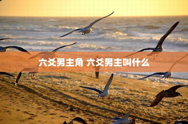 六爻男主角 六爻男主叫什么