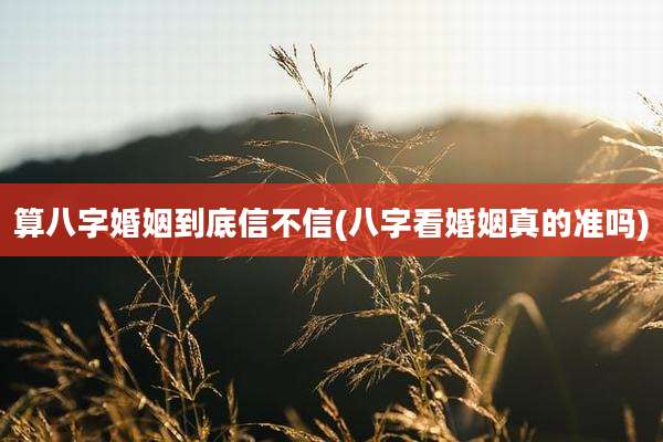 算八字婚姻到底信不信(八字看婚姻真的准吗)