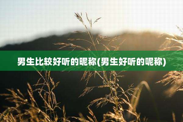 男生比较好听的昵称(男生好听的呢称)