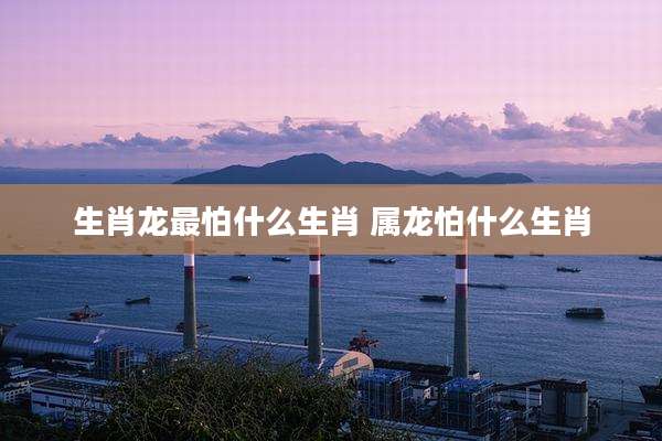 生肖龙最怕什么生肖 属龙怕什么生肖