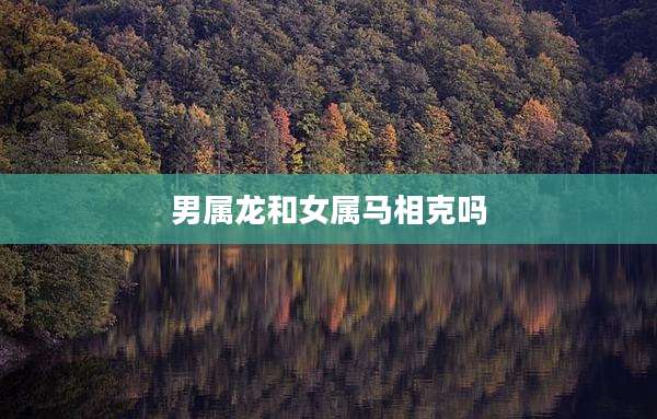 男属龙和女属马相克吗