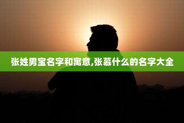 张姓男宝名字和寓意,张慕什么的名字大全