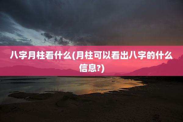 八字月柱看什么(月柱可以看出八字的什么信息?)