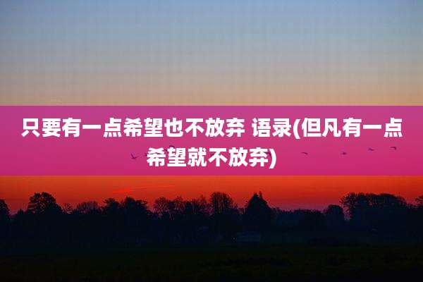 只要有一点希望也不放弃 语录(但凡有一点希望就不放弃)