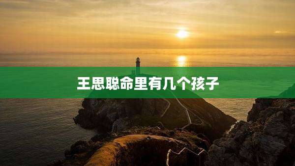 王思聪命里有几个孩子