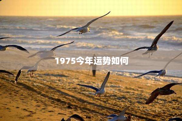 1975今年运势如何