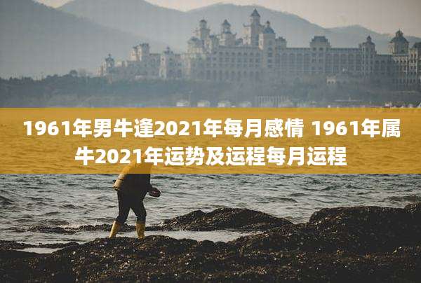 1961年男牛逢2021年每月感情 1961年属牛2021年运势及运程每月运程