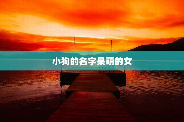 小狗的名字呆萌的女