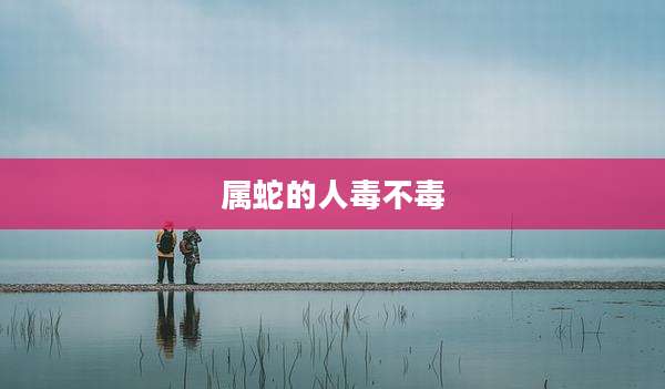属蛇的人毒不毒