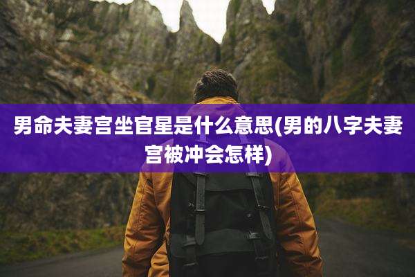 男命夫妻宫坐官星是什么意思(男的八字夫妻宫被冲会怎样)