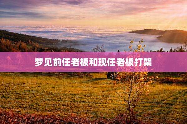 梦见前任老板和现任老板打架