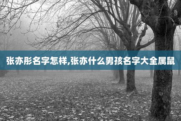 张亦彤名字怎样,张亦什么男孩名字大全属鼠