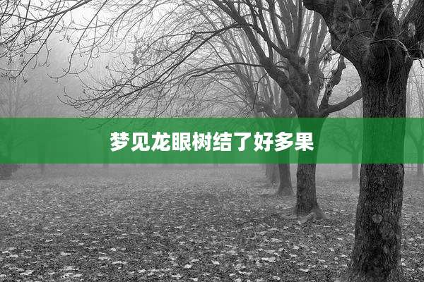 梦见龙眼树结了好多果