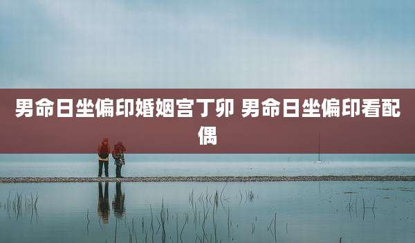 男命日坐偏印婚姻宫丁卯 男命日坐偏印看配偶