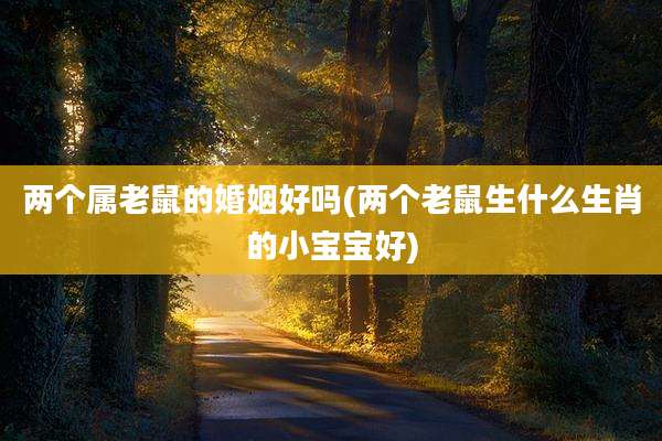 两个属老鼠的婚姻好吗(两个老鼠生什么生肖的小宝宝好)