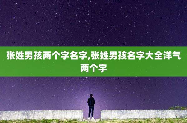 张姓男孩两个字名字,张姓男孩名字大全洋气两个字