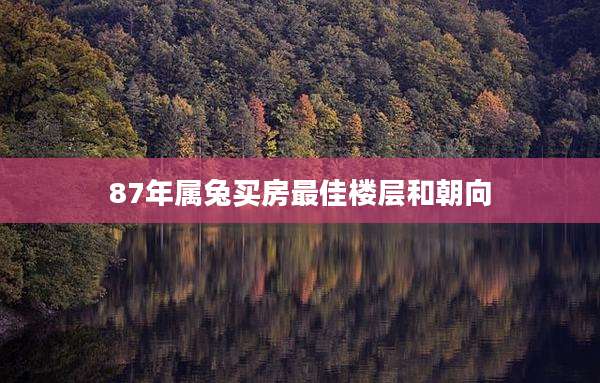 87年属兔买房最佳楼层和朝向
