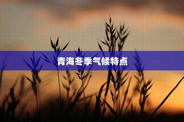 青海冬季气候特点