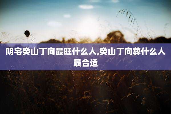 阴宅癸山丁向最旺什么人,癸山丁向葬什么人最合适