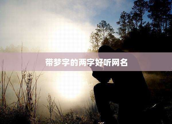 带梦字的两字好听网名