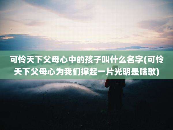可怜天下父母心中的孩子叫什么名字(可怜天下父母心为我们撑起一片光明是啥歌)