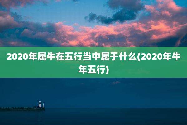 2020年属牛在五行当中属于什么(2020年牛年五行)