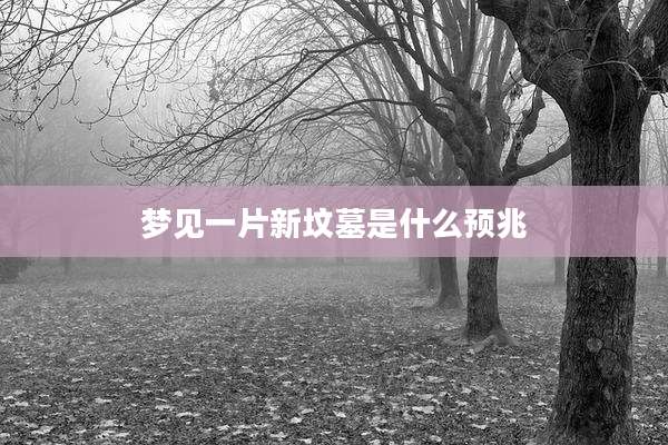 梦见一片新坟墓是什么预兆