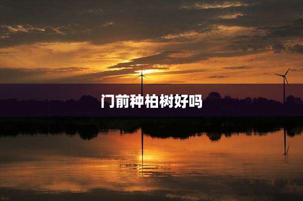 门前种柏树好吗