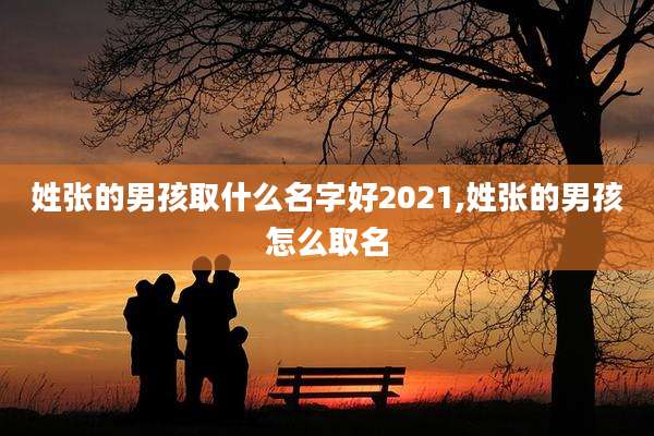 姓张的男孩取什么名字好2021,姓张的男孩怎么取名