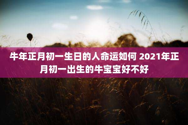 牛年正月初一生日的人命运如何 2021年正月初一出生的牛宝宝好不好