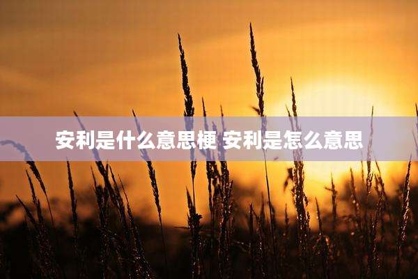 安利是什么意思梗 安利是怎么意思