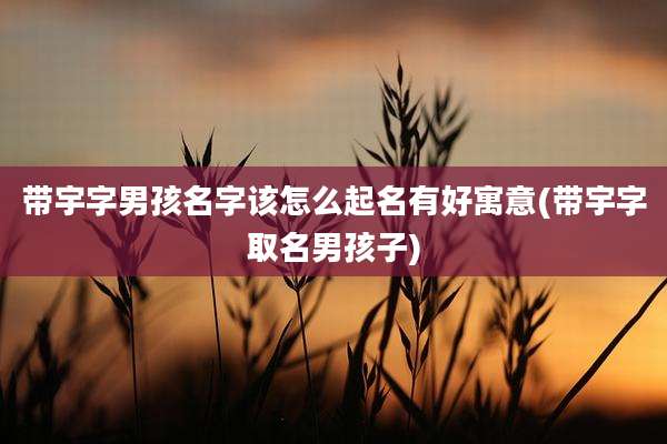 带宇字男孩名字该怎么起名有好寓意(带宇字取名男孩子)