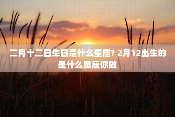 二月十二日生日是什么星座? 2月12出生的是什么星座你做